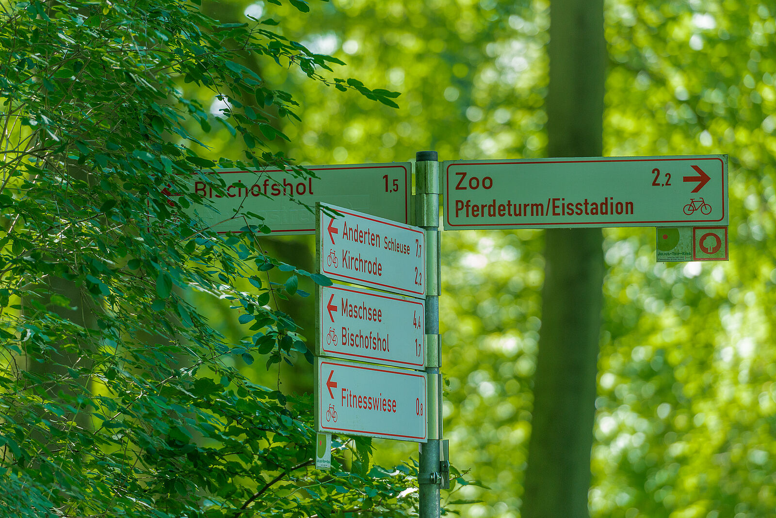 Stadtteile